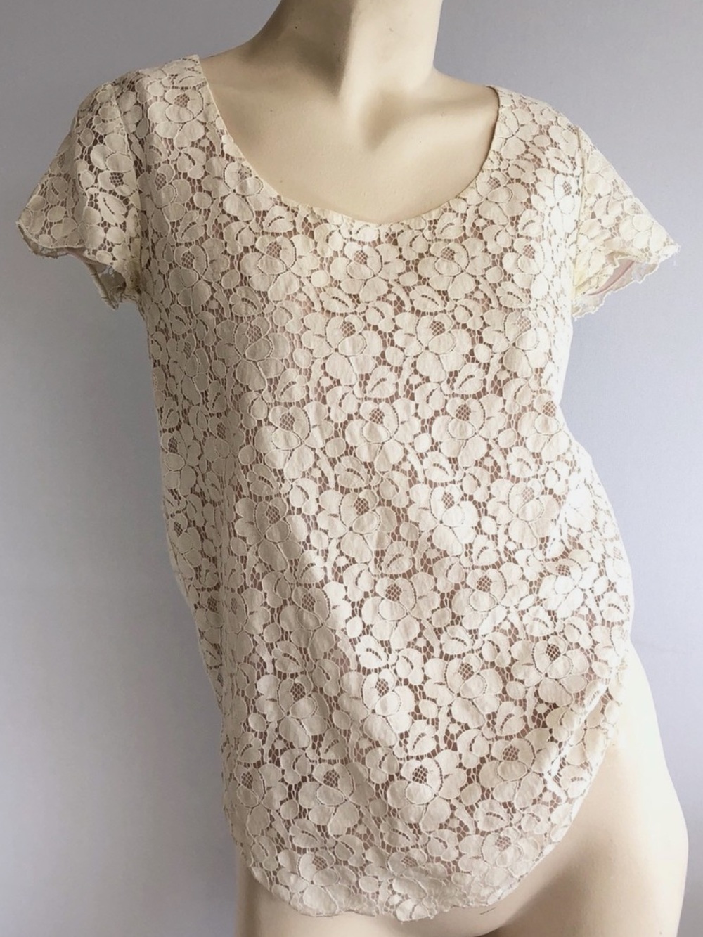 Aritzia Talula Ivory Floral Lace Short Sleeve Blouse